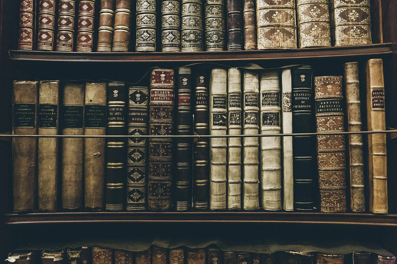 books, library, reading, education, history, philosophy, shelves, learning, literature, library, library, history, history, history, history, history, philosophy. Reading Famous People by US City and State Queries, With Named Examples