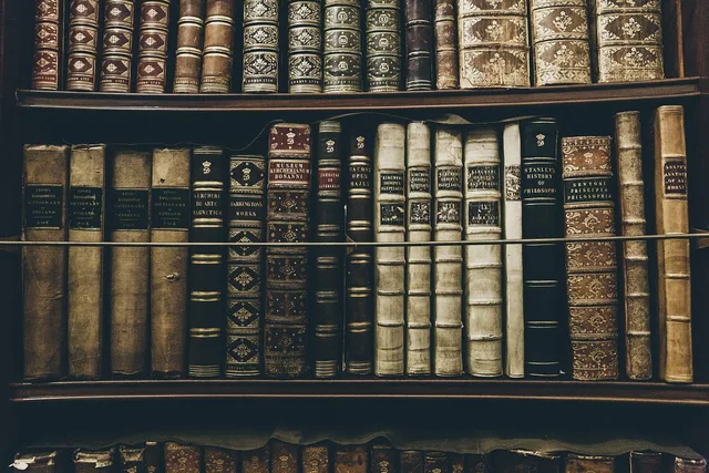 books, library, reading, education, history, philosophy, shelves, learning, literature, library, library, history, history, history, history, history, philosophy. Reading Famous People by US City and State Queries, With Named Examples