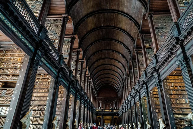 library, books, dublin, ireland, trinity, trinity college, reading room, bookshelf, education, building, learn, library, library, library, library, library, ireland, education. People by profession by country: registers, archives and famous examples
