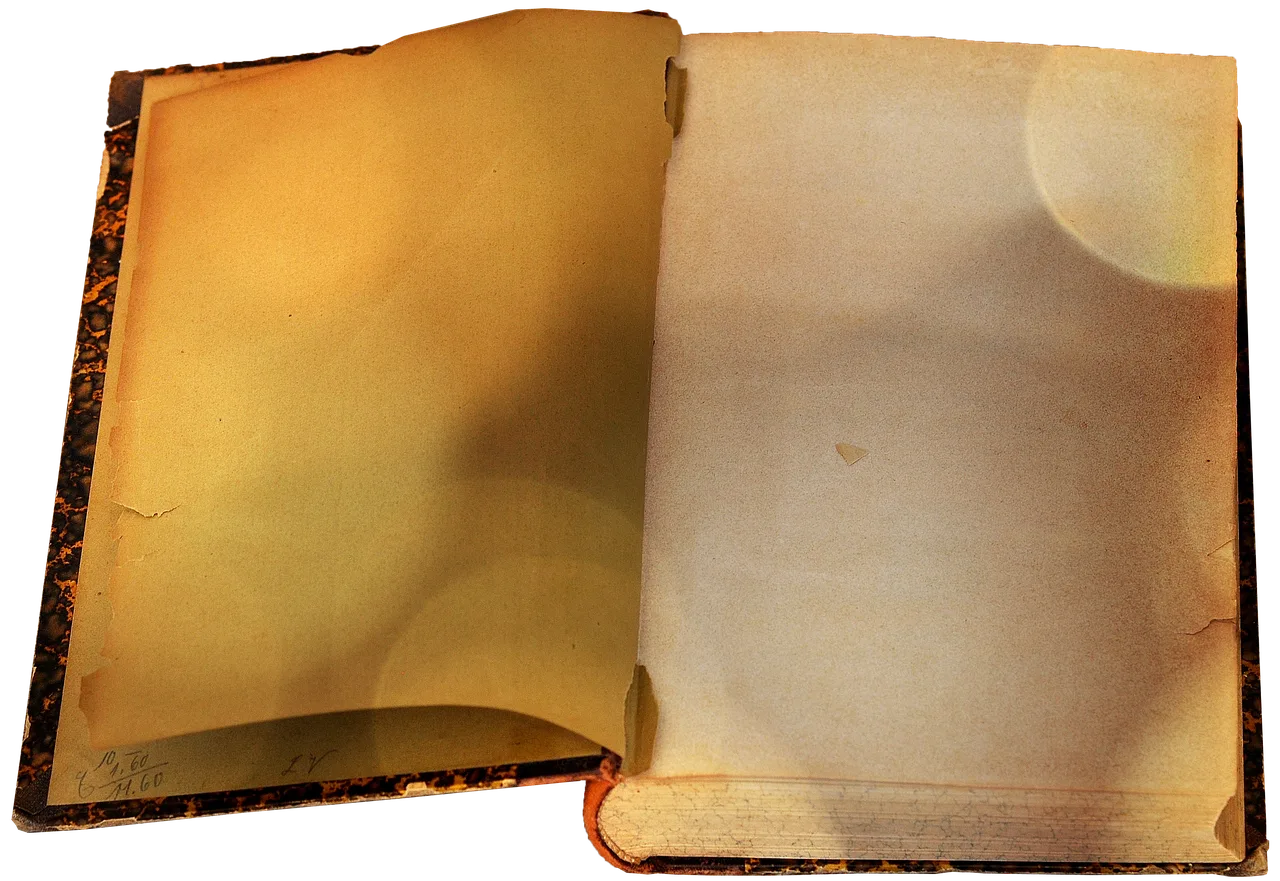 old books, a book, exemption, lying, open, open books, book pages, a book, a book, a book, a book, a book. People by US City Directory: What an Entry Proves