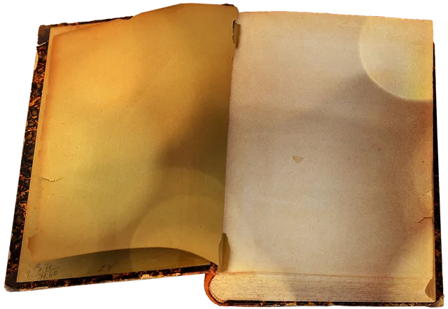 old books, a book, exemption, lying, open, open books, book pages, a book, a book, a book, a book, a book. People by US City Directory: What an Entry Proves