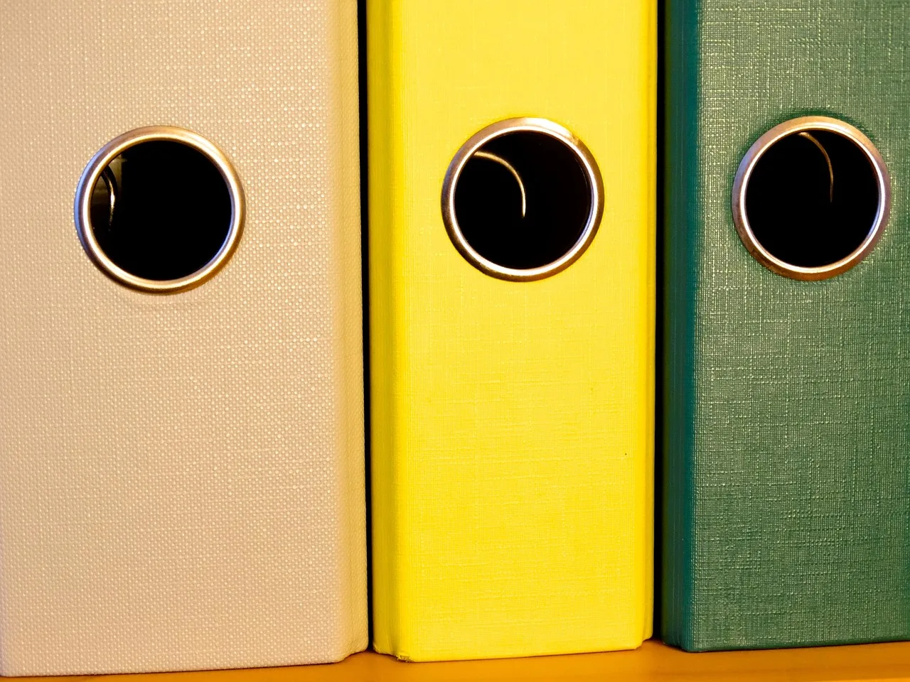 folder, federal folder, filing, archive, drop, classify, office, files, folder, folder, folder, folder, folder, files, files, files. US State Archives Genealogy Fees: How Costs Compare for Famous Person Searches